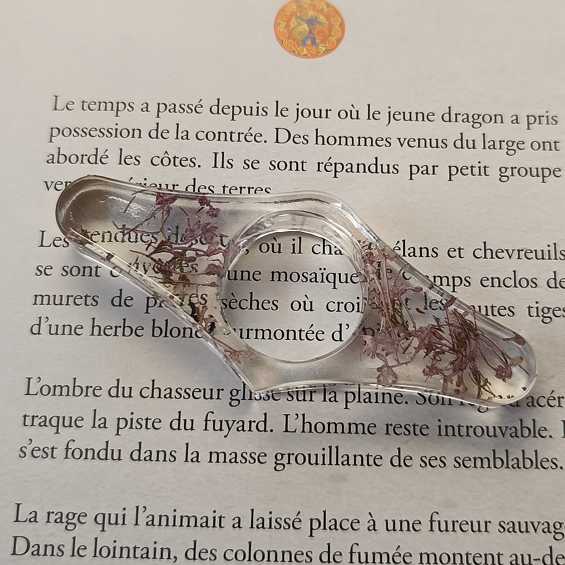 Bague de lecture fleurs séchées – Image 3